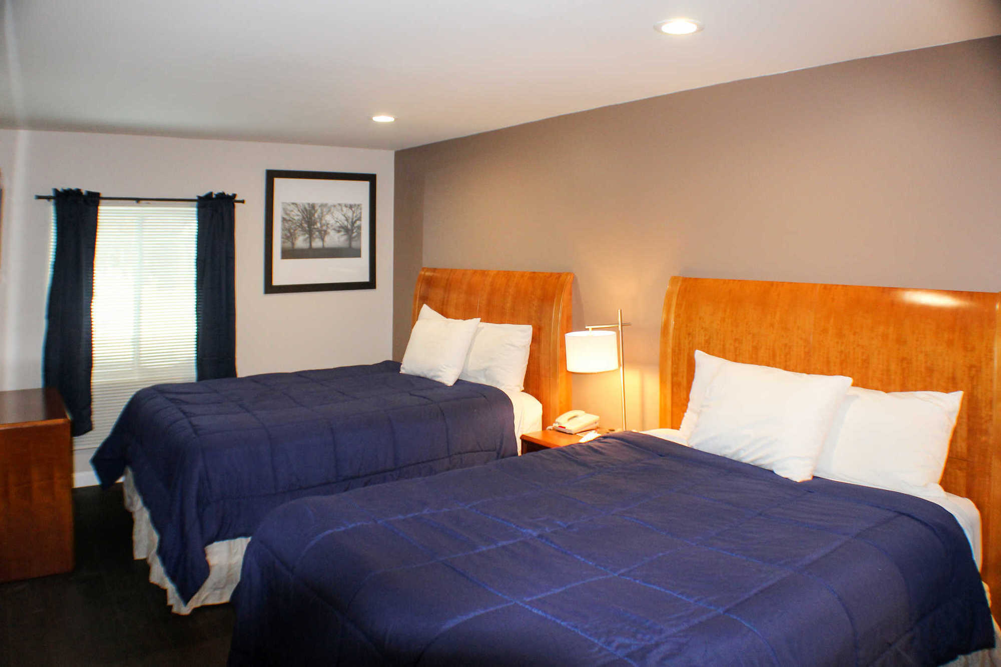 Quality Inn & Suites Lincoln Rum bild